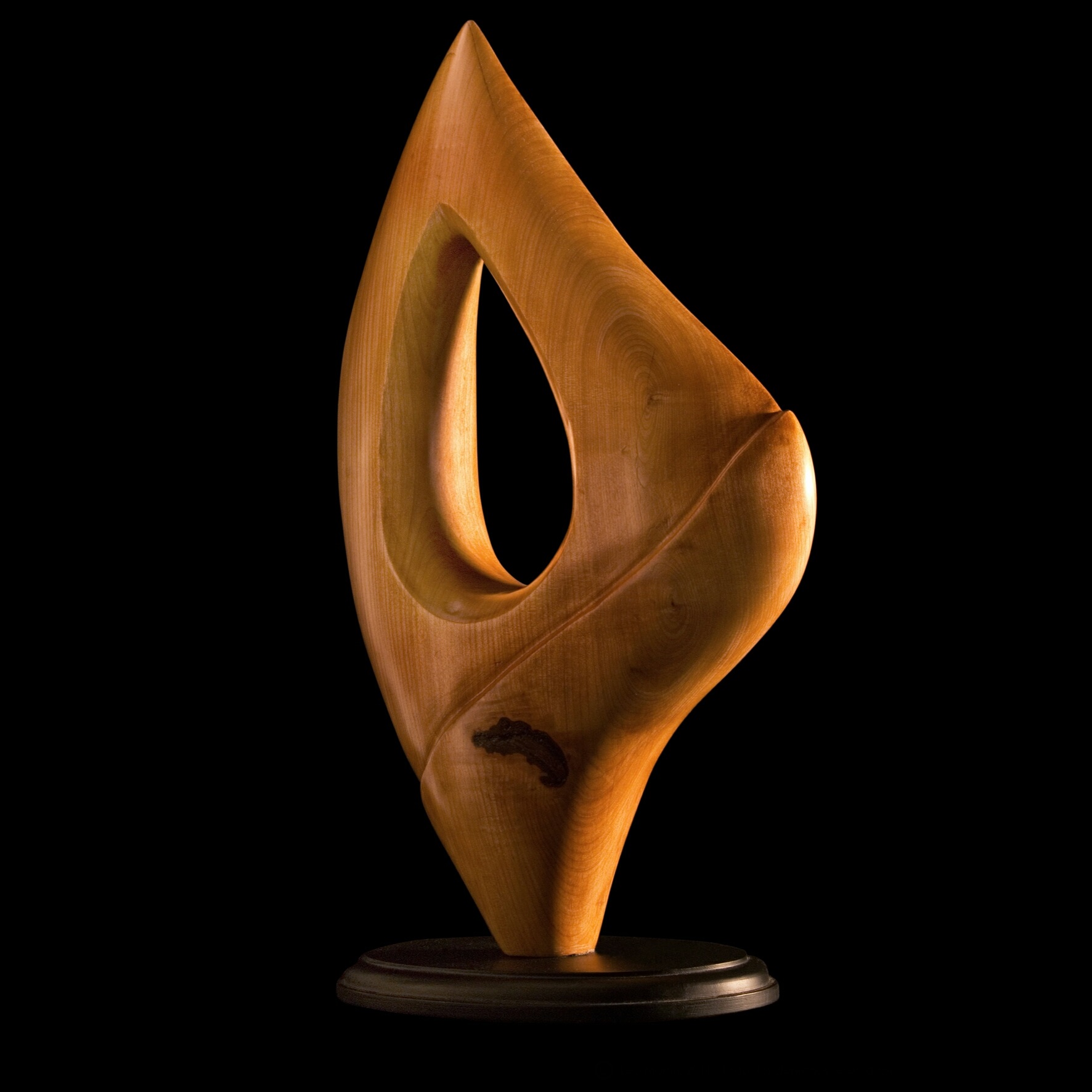 Escultura 'Acuática' - Forma abstracta tallada en madera de lenga, 43x25x8cm